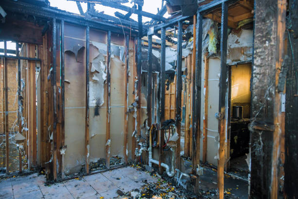 Professional Odor Removal technician working in Webster, SD